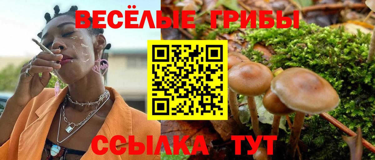 Приморско-Ахтарск  Псилоцибиновые грибы ЛСД  Вход с VPN 