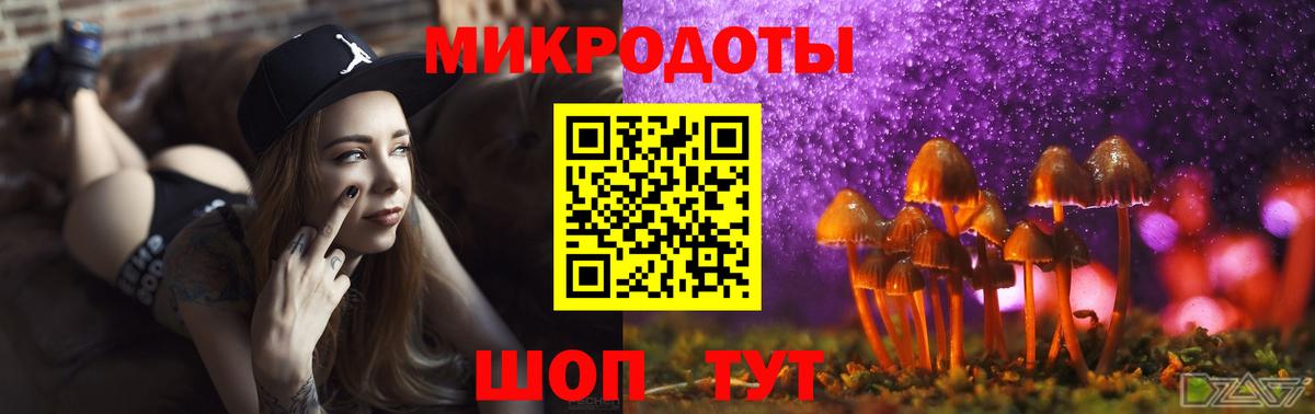 Псилоцибиновые грибы Psilocybine cubensis Приморско-Ахтарск